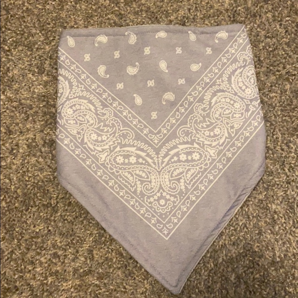 Snowboarding bandanna